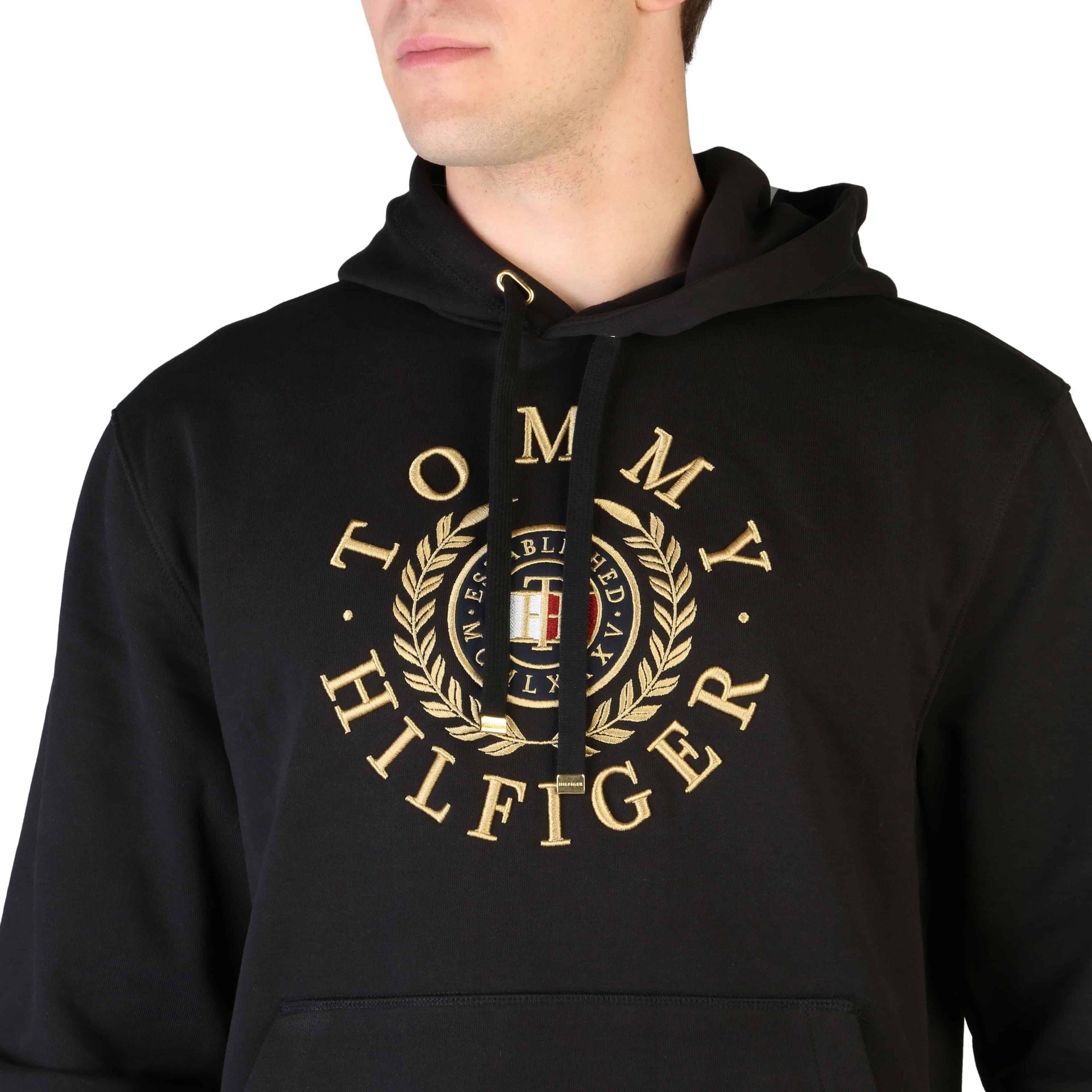 Tommy Hilfiger Sweatshirts - Fizigo